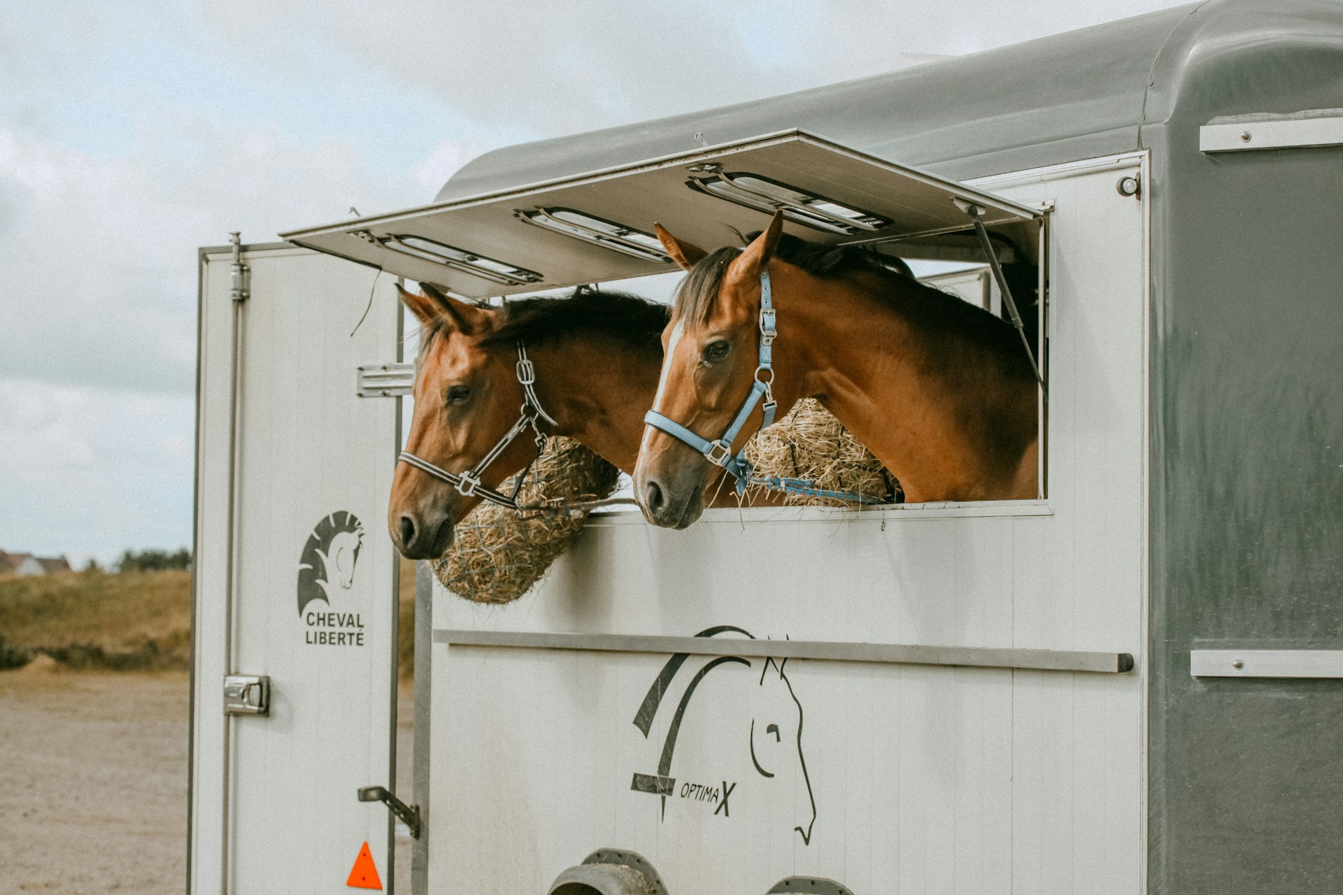 Le spécialiste du transport de chevaux