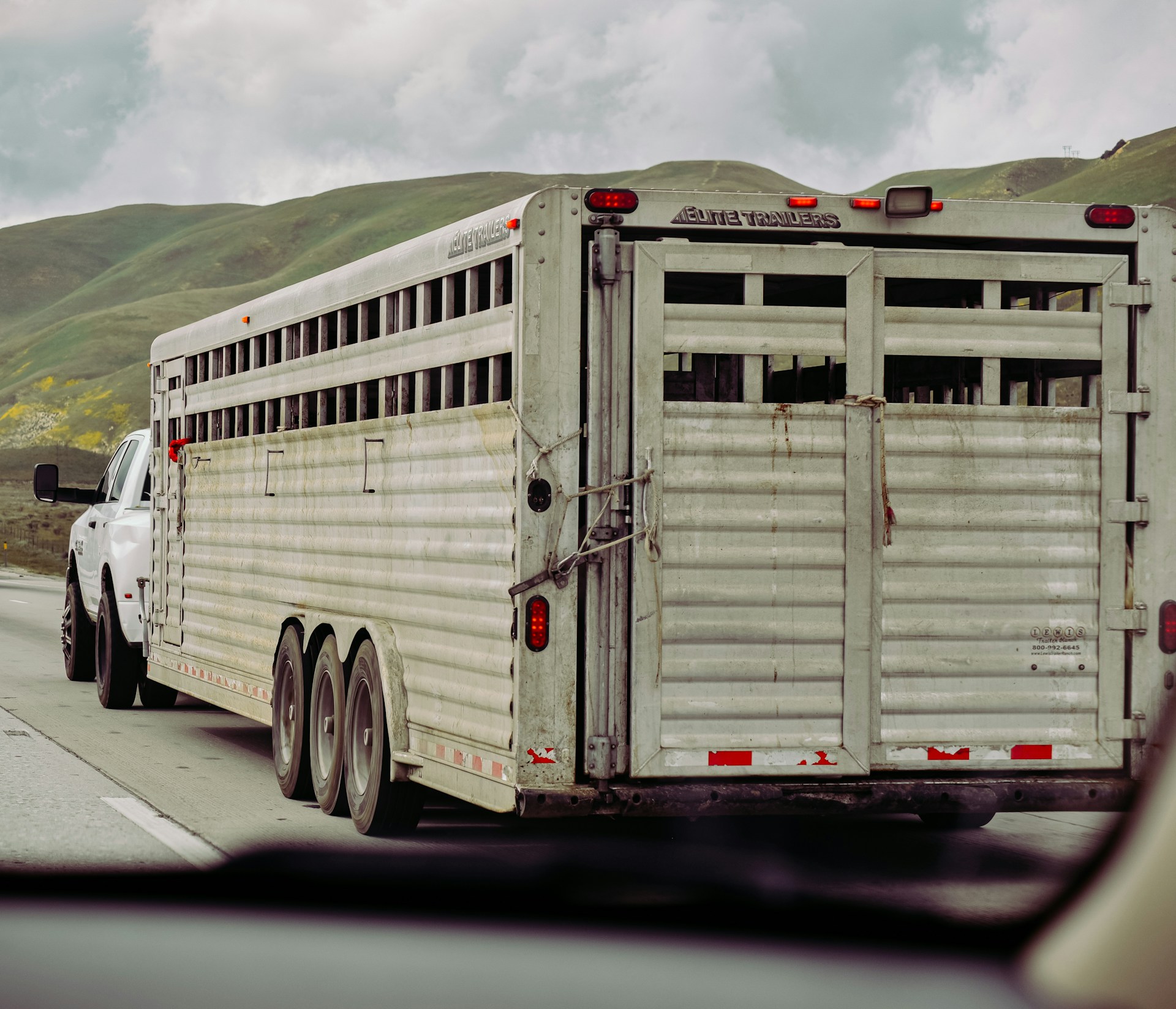Votre partenaire pour le transport de cheval