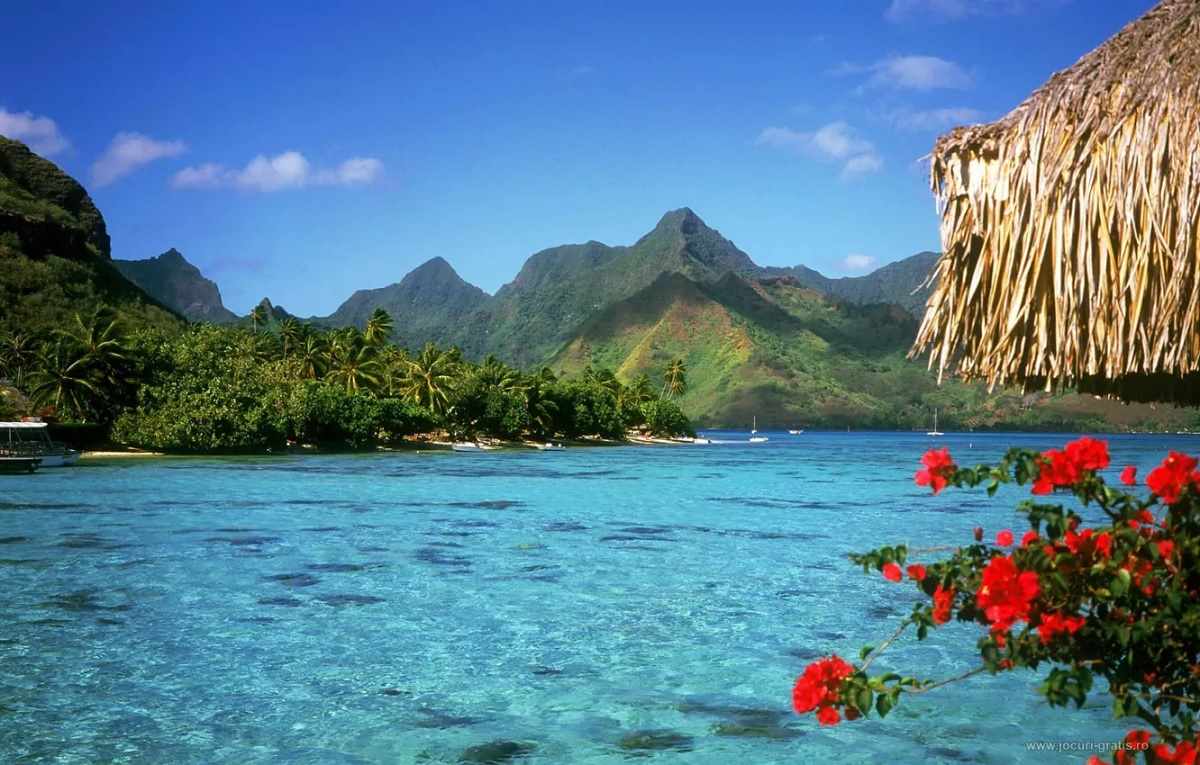 bahamas