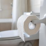dou-vient-le-papier-toilette